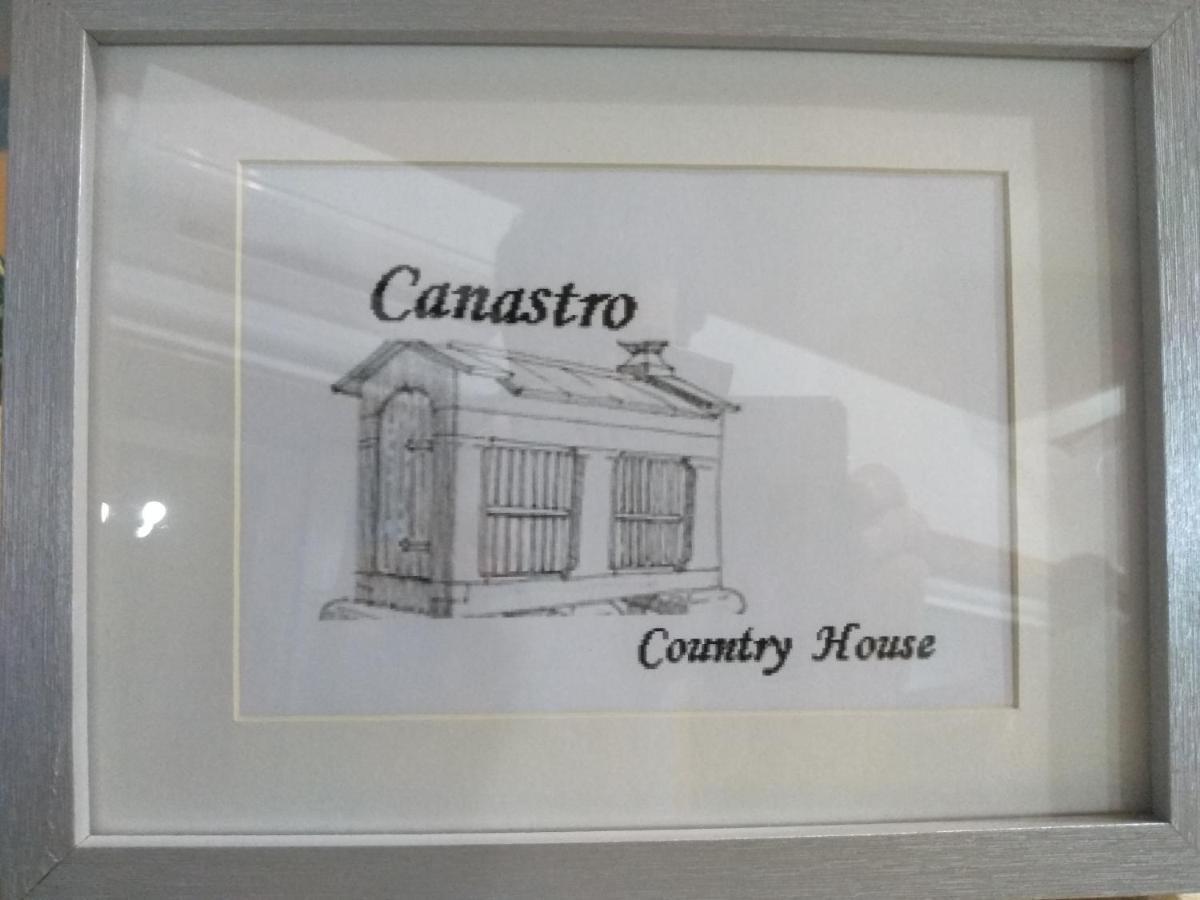 Canastro Country House Castelo de Paiva Eksteriør billede